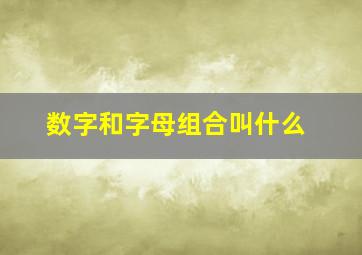 数字和字母组合叫什么