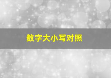 数字大小写对照