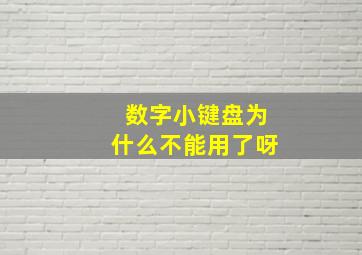 数字小键盘为什么不能用了呀