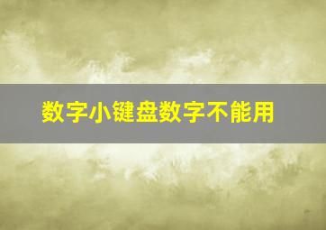 数字小键盘数字不能用