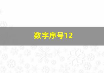 数字序号12