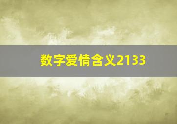 数字爱情含义2133