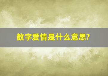 数字爱情是什么意思?