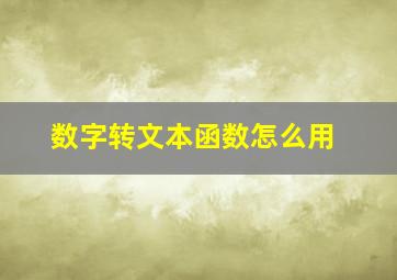 数字转文本函数怎么用