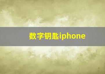 数字钥匙iphone