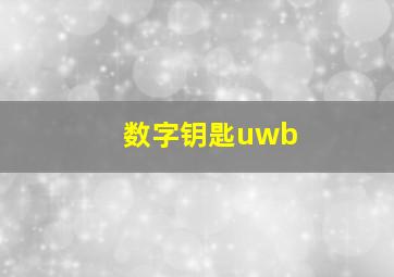 数字钥匙uwb