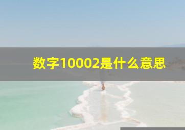 数字10002是什么意思