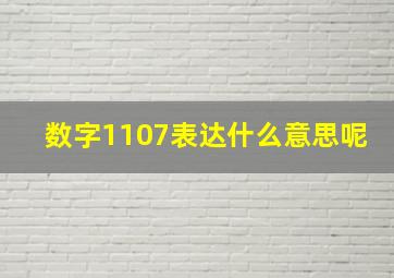 数字1107表达什么意思呢