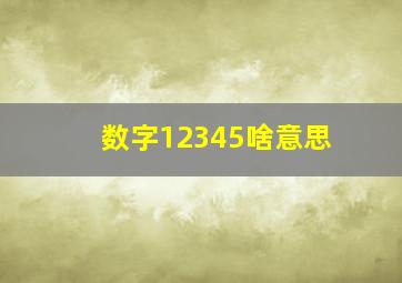 数字12345啥意思