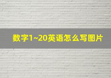 数字1~20英语怎么写图片