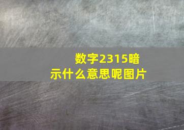 数字2315暗示什么意思呢图片