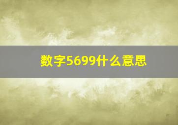 数字5699什么意思