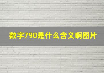 数字790是什么含义啊图片