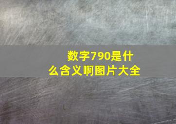 数字790是什么含义啊图片大全