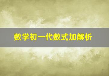 数学初一代数式加解析