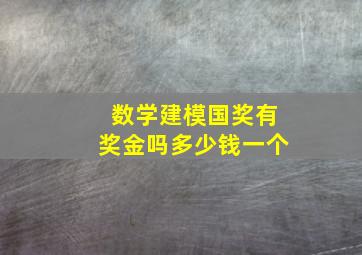 数学建模国奖有奖金吗多少钱一个