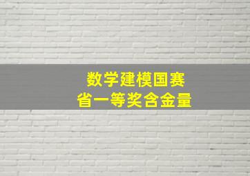 数学建模国赛省一等奖含金量