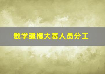 数学建模大赛人员分工