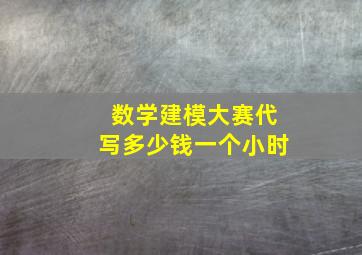 数学建模大赛代写多少钱一个小时