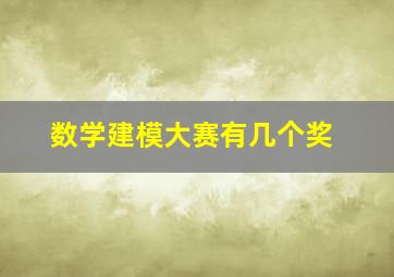 数学建模大赛有几个奖