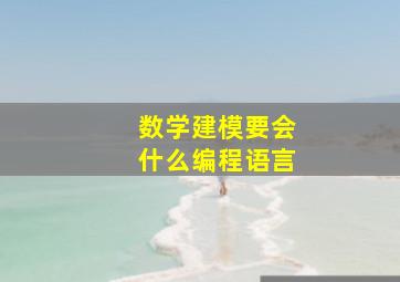 数学建模要会什么编程语言