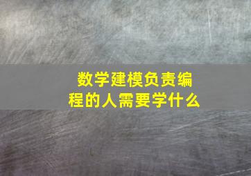 数学建模负责编程的人需要学什么