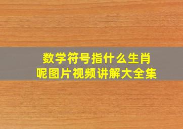 数学符号指什么生肖呢图片视频讲解大全集