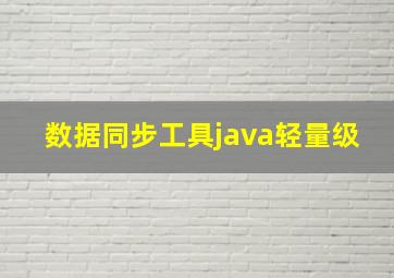 数据同步工具java轻量级