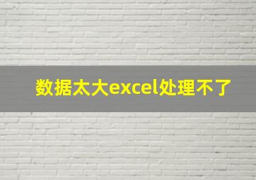 数据太大excel处理不了