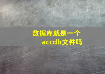 数据库就是一个accdb文件吗