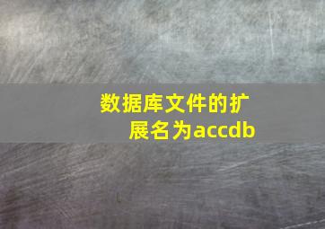 数据库文件的扩展名为accdb