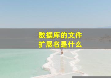 数据库的文件扩展名是什么