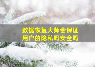 数据恢复大师会保证用户的隐私吗安全吗