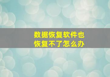 数据恢复软件也恢复不了怎么办