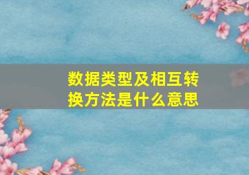 数据类型及相互转换方法是什么意思