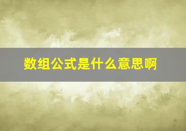 数组公式是什么意思啊