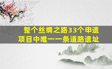 整个丝绸之路33个申遗项目中唯一一条道路遗址