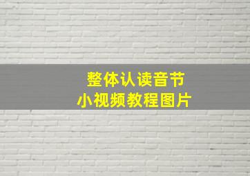 整体认读音节小视频教程图片