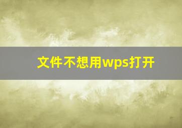 文件不想用wps打开