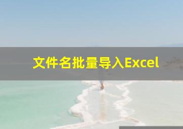 文件名批量导入Excel