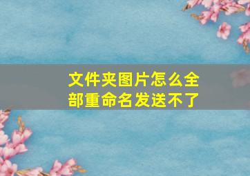 文件夹图片怎么全部重命名发送不了