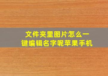 文件夹里图片怎么一键编辑名字呢苹果手机