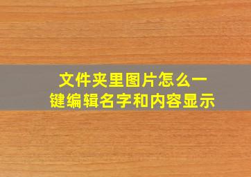 文件夹里图片怎么一键编辑名字和内容显示