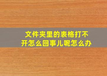 文件夹里的表格打不开怎么回事儿呢怎么办