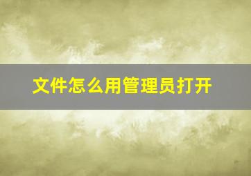 文件怎么用管理员打开