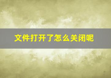 文件打开了怎么关闭呢