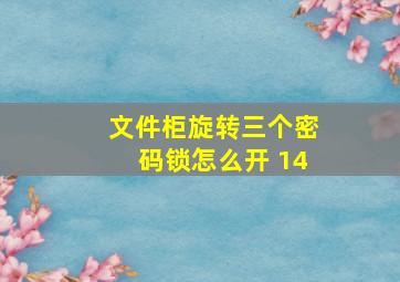 文件柜旋转三个密码锁怎么开 14