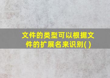 文件的类型可以根据文件的扩展名来识别( )