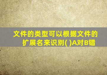 文件的类型可以根据文件的扩展名来识别( )A对B错