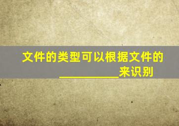 文件的类型可以根据文件的__________来识别